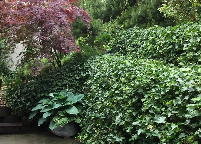 Lägenhet Luna Pirna